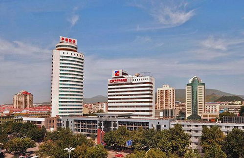 中原崛起 河南工程技术服务巨头的财富密码